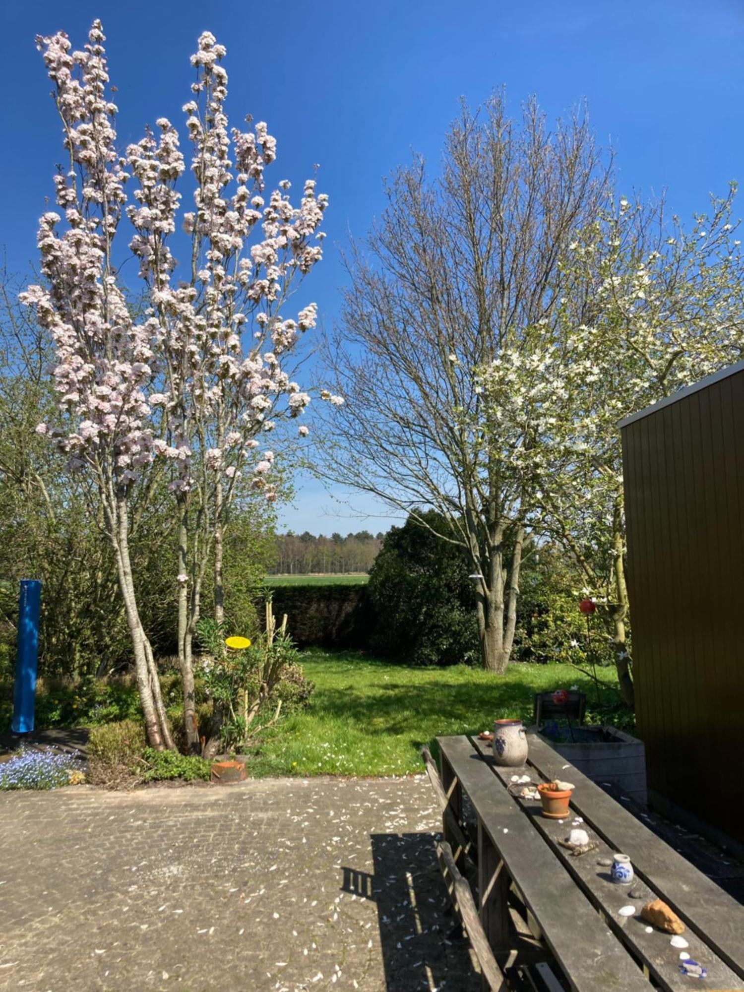 B&B Koornemoezen Zedelgem Esterno foto