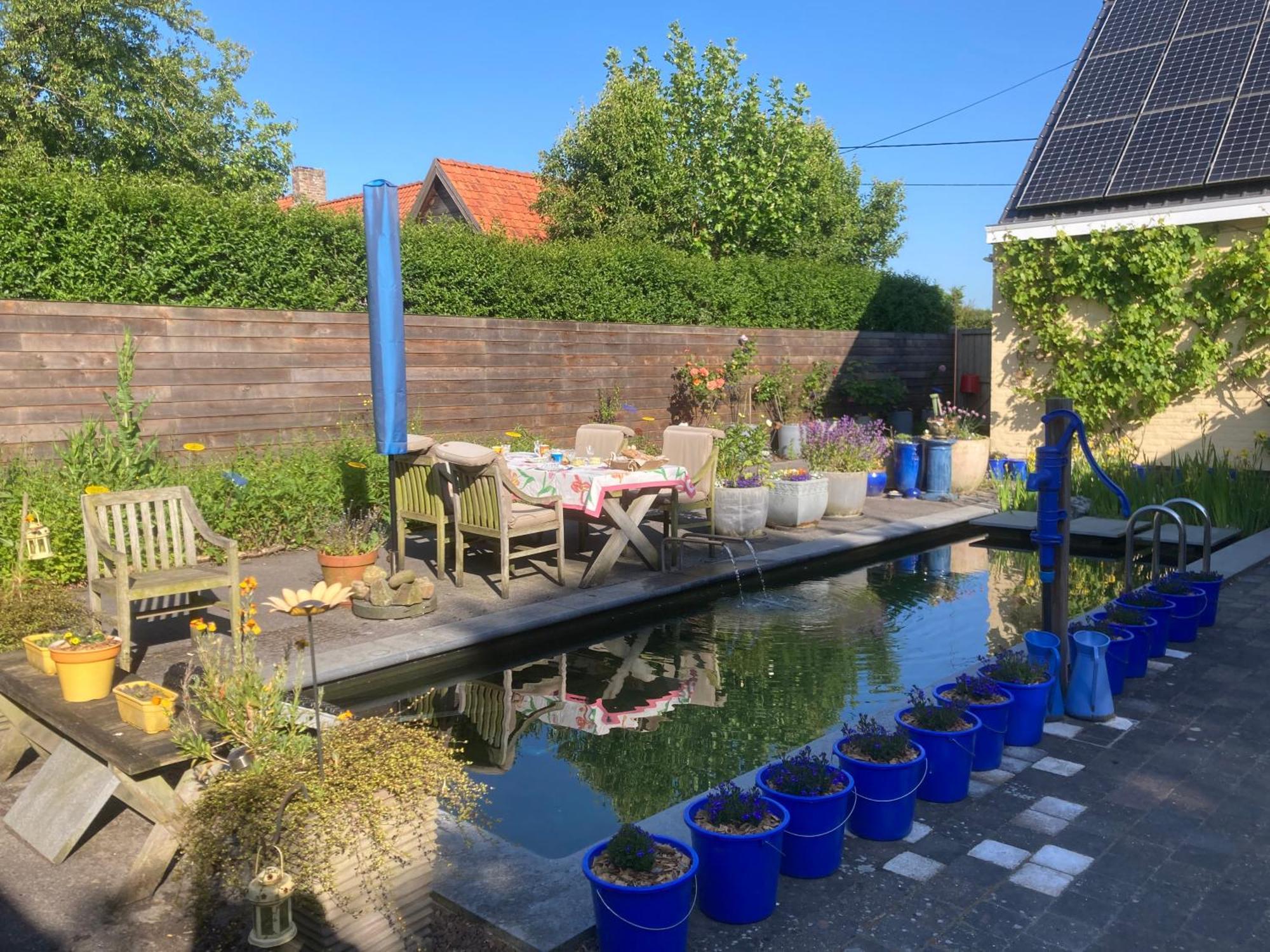 B&B Koornemoezen Zedelgem Esterno foto